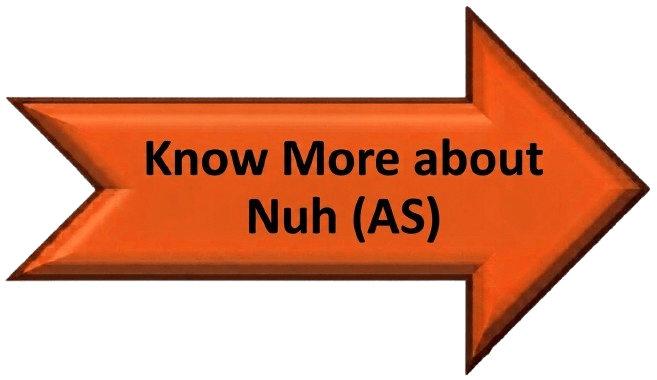 Know More about Nuh (AS)